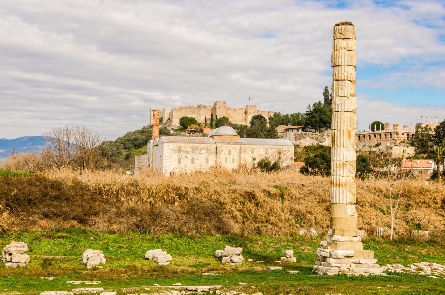 Kusadasi Port to Ephesus Ruins, Temple of Artemis
