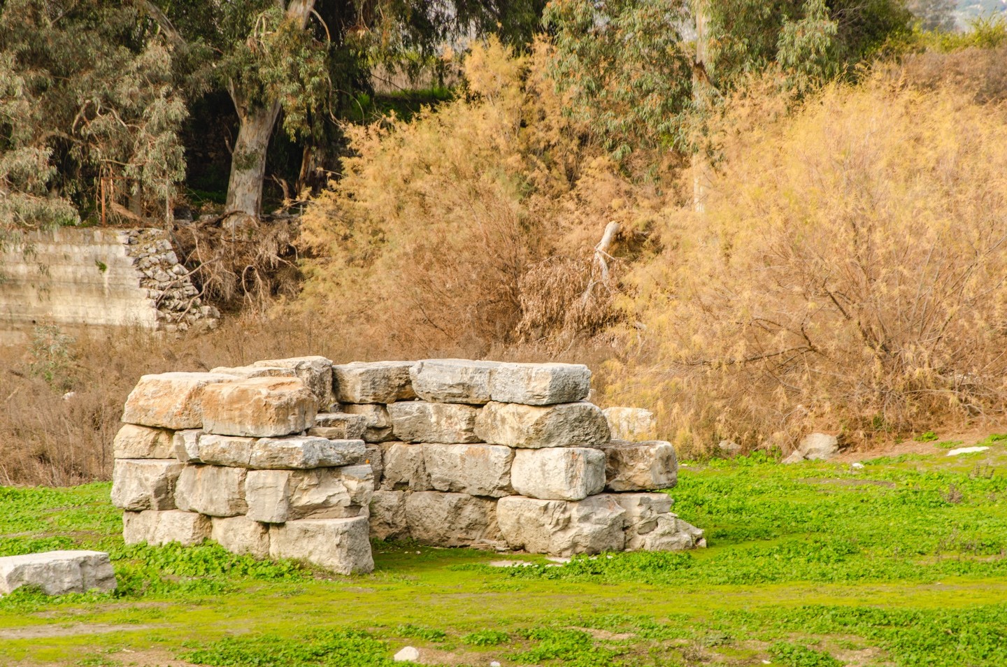 Kusadasi Port to Ephesus Ruins, Temple of Artemis